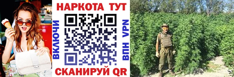 МЕФ Княгинино