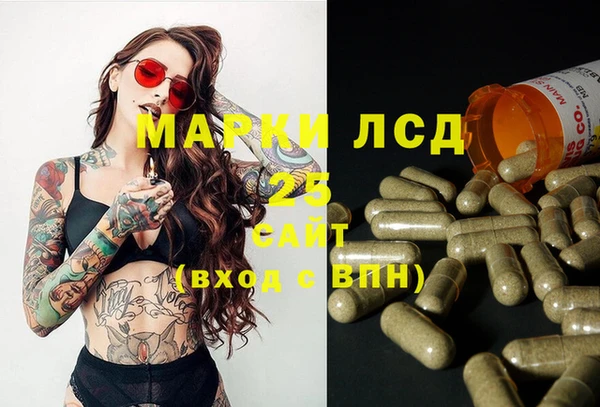 сатива Мегион
