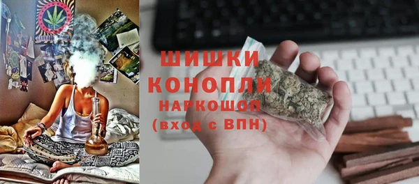 сатива Мегион