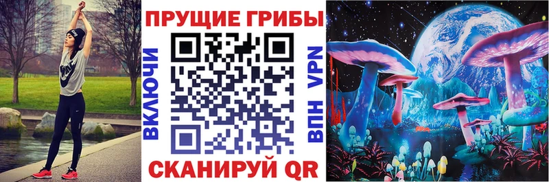 Купить  Княгинино  Псилоцибиновые грибы Psilocybine cubensis 